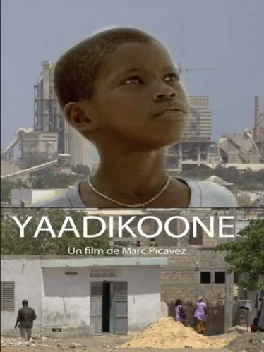 Affiche du film Yaadikone